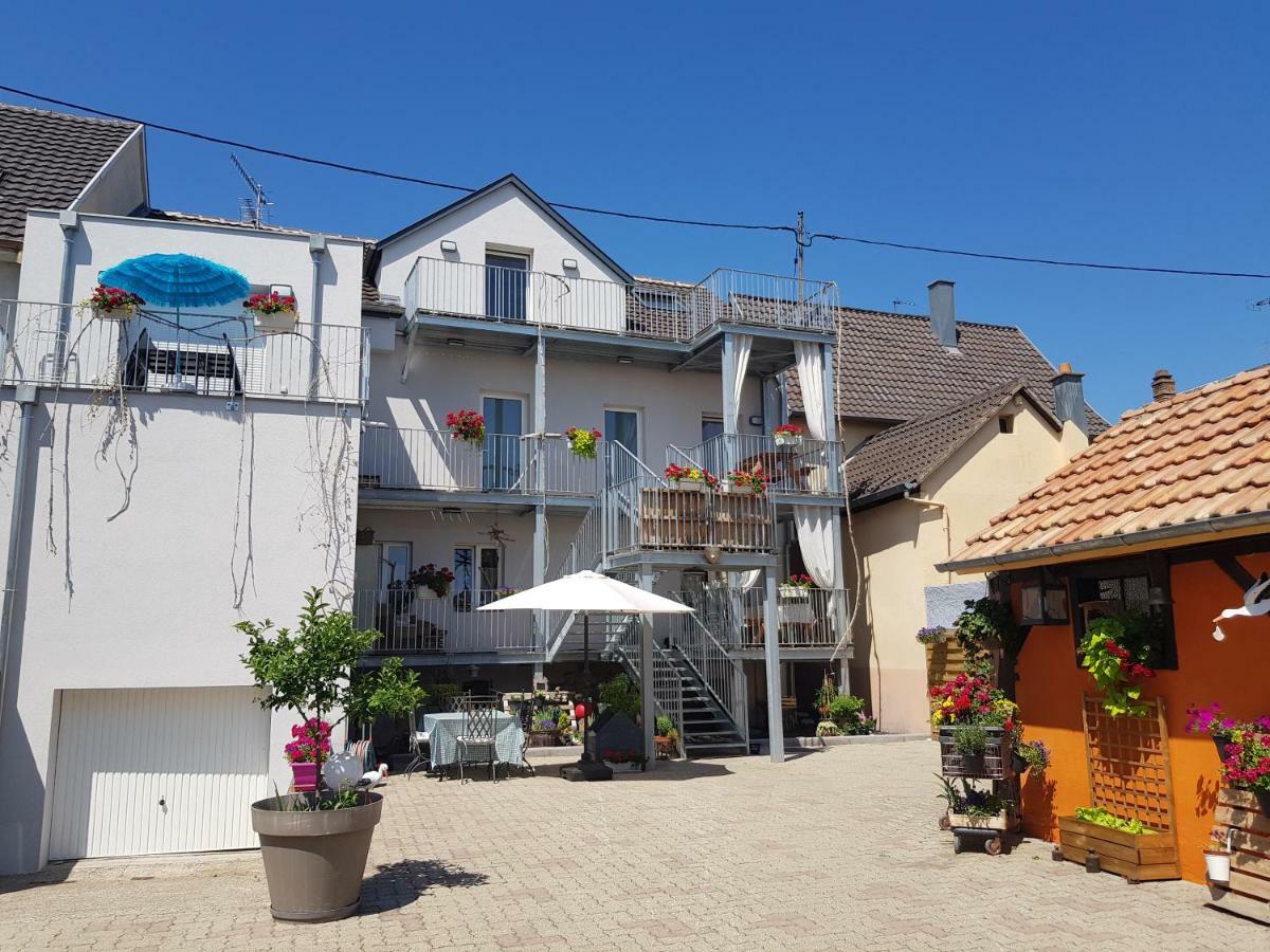 Au Gre De L'Ill 'Les Cigognes' Apartment Horbourg Luaran gambar