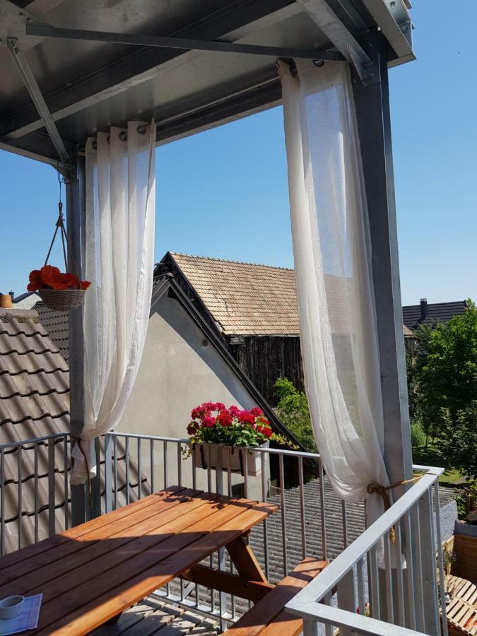 Au Gre De L'Ill 'Les Cigognes' Apartment Horbourg Luaran gambar